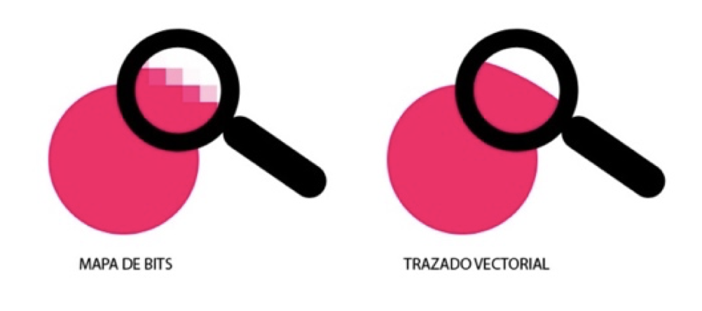 Que es un Vector